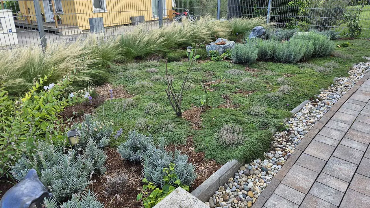 Staudenbeet mit Gräsern, Bodendeckern und Kiesrand entlang eines Gartenwegs.
