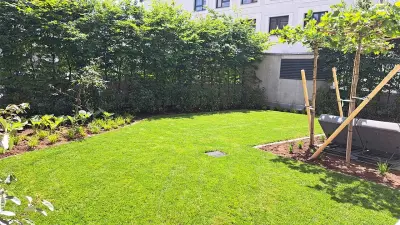 Rollrasen mit Pflanzbeeten und jungen Dachplatanen zur späteren Beschattung