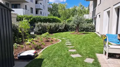 Neu angelegter Garten mit Rollrasen, Pflanzflächen, Mähroboter und Solitärbaum